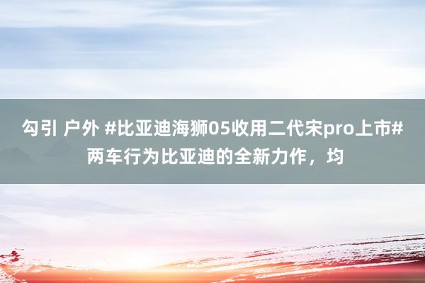 勾引 户外 #比亚迪海狮05收用二代宋pro上市# 两车行为比亚迪的全新力作，均