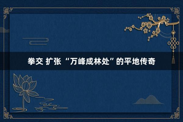 拳交 扩张 “万峰成林处”的平地传奇