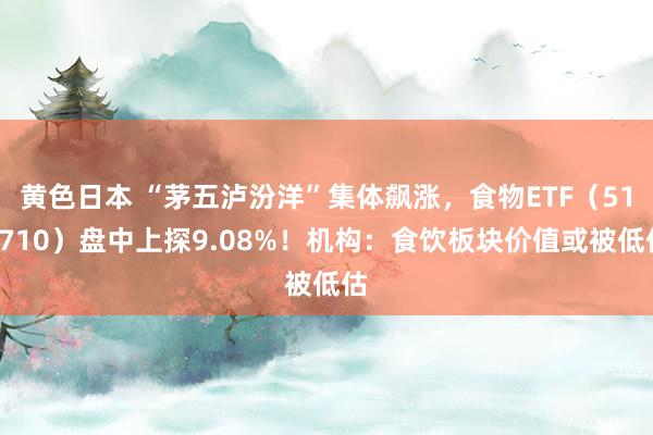 黄色日本 “茅五泸汾洋”集体飙涨，食物ETF（515710）盘中上探9.08%！机构：食饮板块价值或被低估