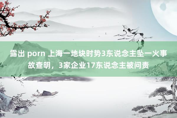 露出 porn 上海一地块时势3东说念主坠一火事故查明，3家企业17东说念主被问责