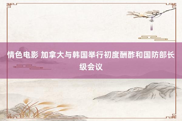 情色电影 加拿大与韩国举行初度酬酢和国防部长级会议