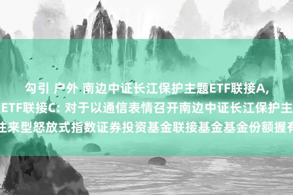 勾引 户外 南边中证长江保护主题ETF联接A,南边中证长江保护主题ETF联接C: 对于以通信表情召开南边中证长江保护主题往来型怒放式指数证券投资基金联接基金基金份额握有东谈主大会的第二次提醒性公告
