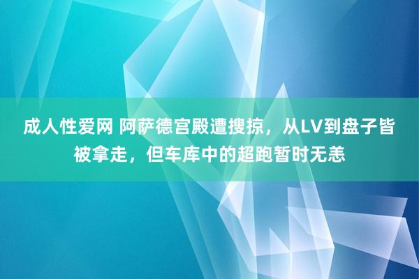 成人性爱网 阿萨德宫殿遭搜掠，从LV到盘子皆被拿走，但车库中的超跑暂时无恙