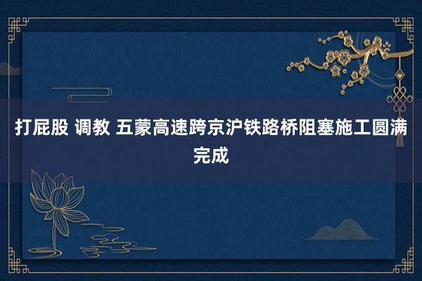 打屁股 调教 五蒙高速跨京沪铁路桥阻塞施工圆满完成