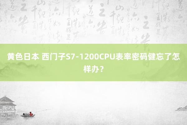 黄色日本 西门子S7-1200CPU表率密码健忘了怎样办？