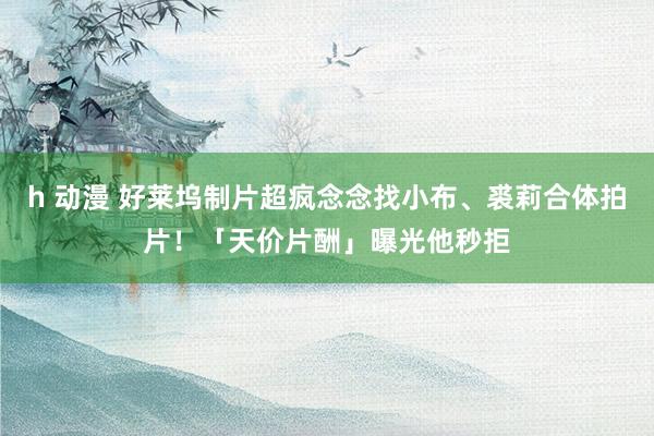 h 动漫 好莱坞制片超疯念念找小布、裘莉合体拍片！「天价片酬」曝光　他秒拒