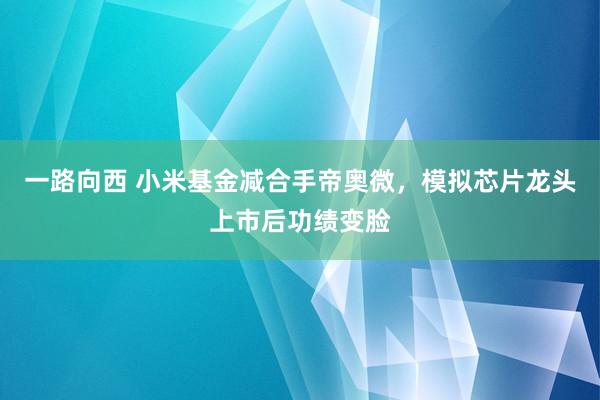一路向西 小米基金减合手帝奥微，模拟芯片龙头上市后功绩变脸