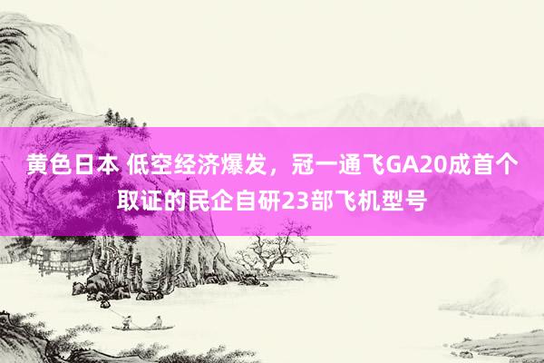 黄色日本 低空经济爆发，冠一通飞GA20成首个取证的民企自研23部飞机型号