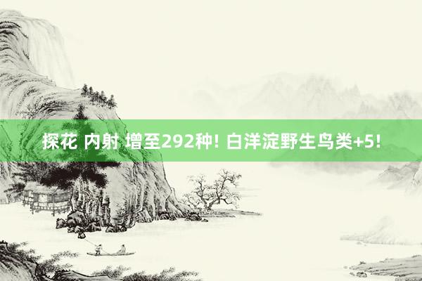 探花 内射 增至292种! 白洋淀野生鸟类+5!