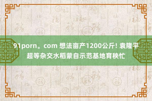 91porn。com 想法亩产1200公斤! 袁隆平超等杂交水稻蒙自示范基地育秧忙