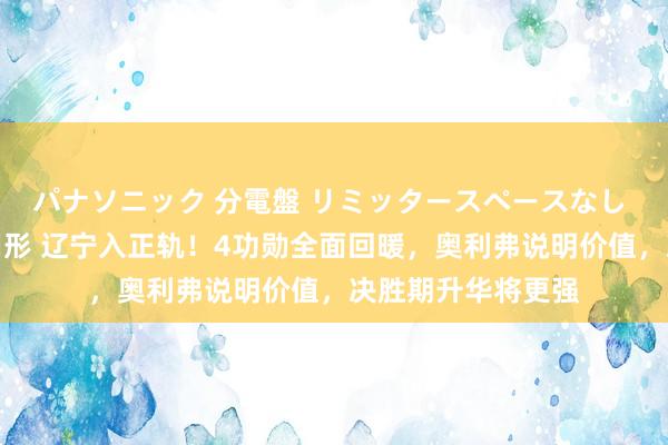 パナソニック 分電盤 リミッタースペースなし 露出・半埋込両用形 辽宁入正轨！4功勋全面回暖，奥利弗说明价值，决胜期升华将更强