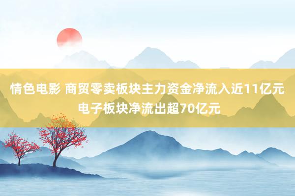 情色电影 商贸零卖板块主力资金净流入近11亿元 电子板块净流出超70亿元