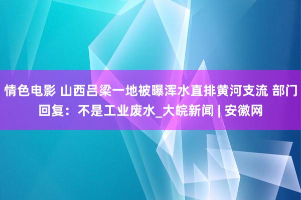 情色电影 山西吕梁一地被曝浑水直排黄河支流 部门回复：不是工业废水_大皖新闻 | 安徽网