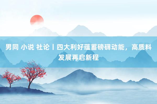 男同 小说 社论丨四大利好蕴蓄磅礴动能，高质料发展再启新程