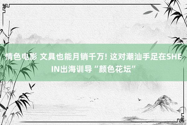 情色电影 文具也能月销千万! 这对潮汕手足在SHEIN出海训导“颜色花坛”