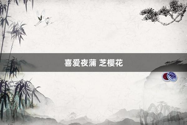 喜爱夜蒲 芝樱花